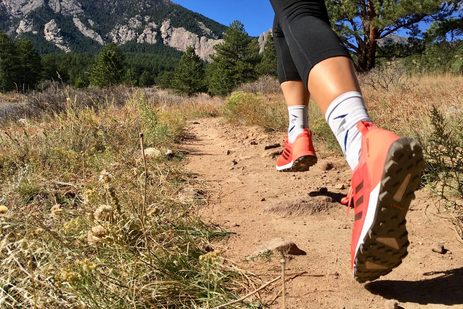 adidas terrex agravic speed review