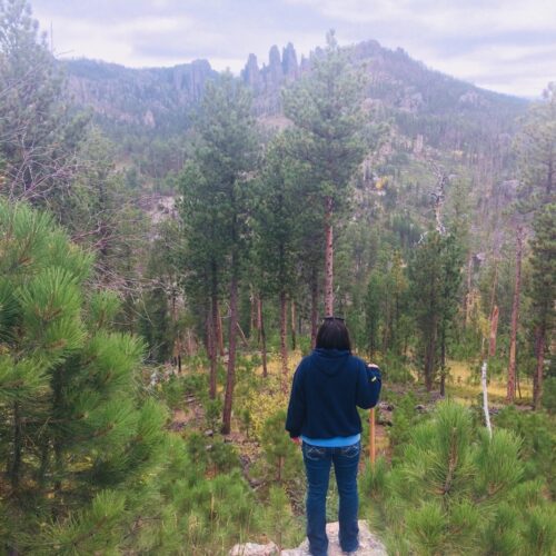 Sierra Article 2