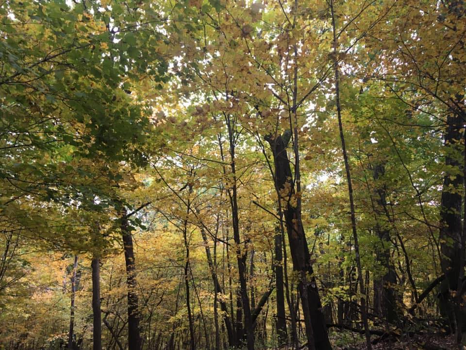 Saint Peter, Minnesota | Trail Sisters Local Groups